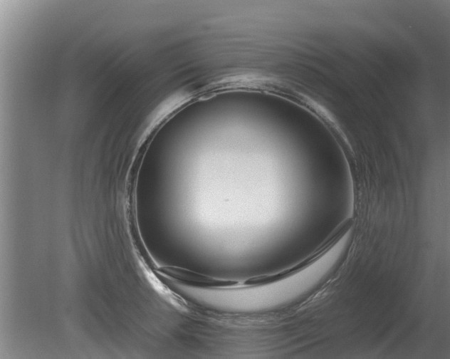 X0000080121042200612151707