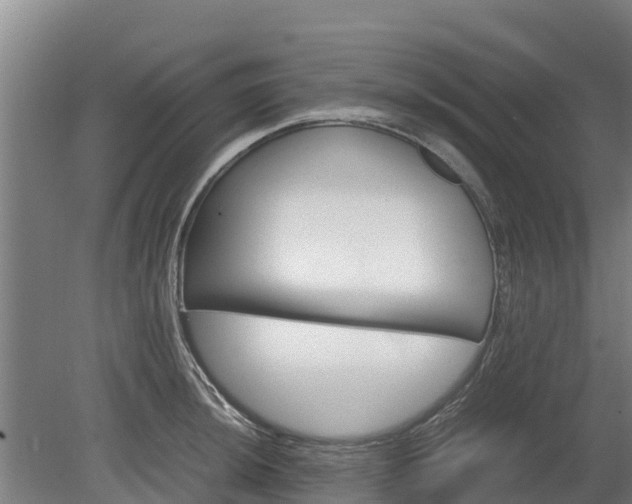 X0000080121044200612151707