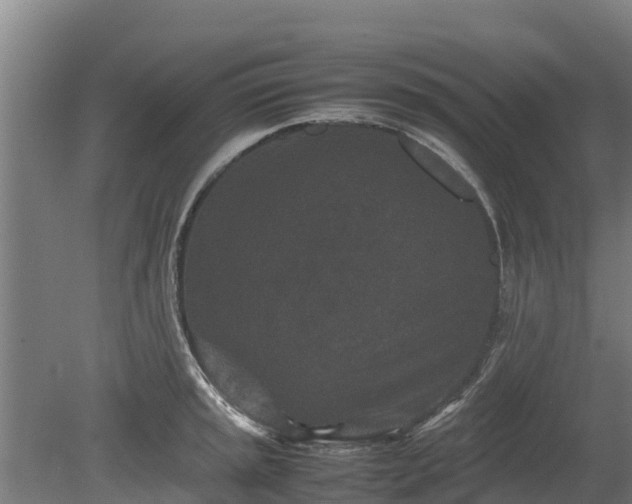 X0000080121045200612151707