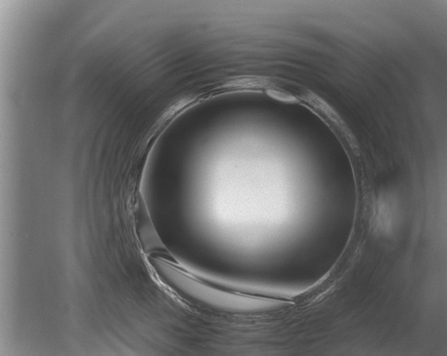 X0000080121049200612151707