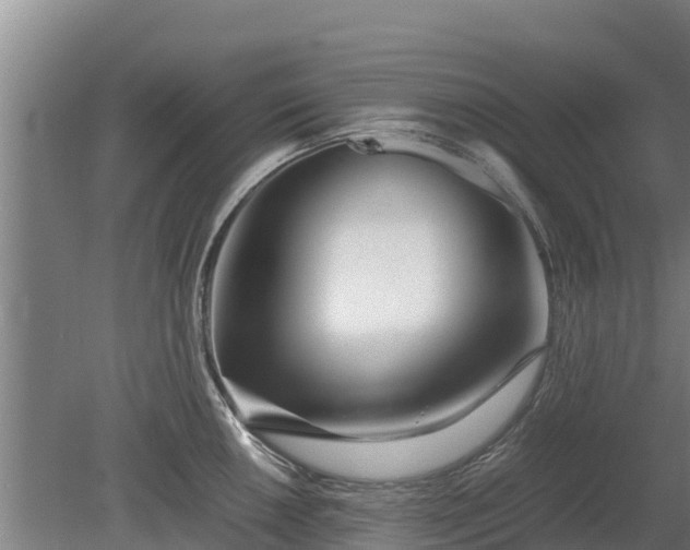 X0000080121050200612151707