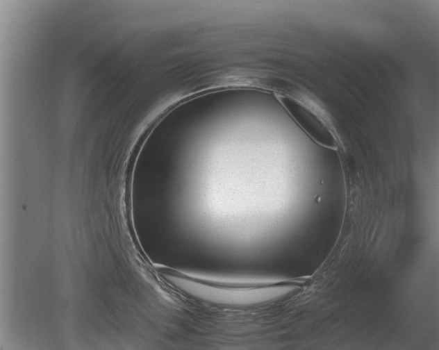 X0000080121051200612151707