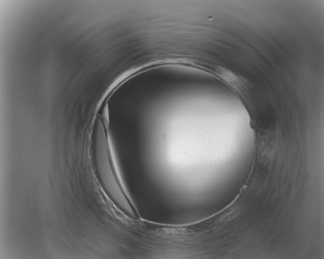 X0000080121052200612151707