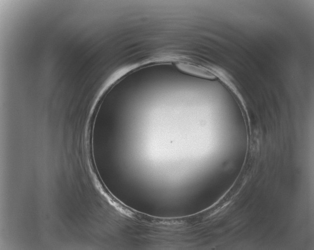 X0000080121053200612151707