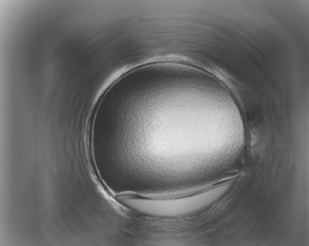 X0000080121054200612151707