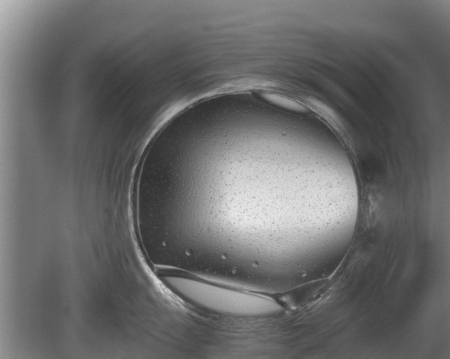 X0000080121055200612151707