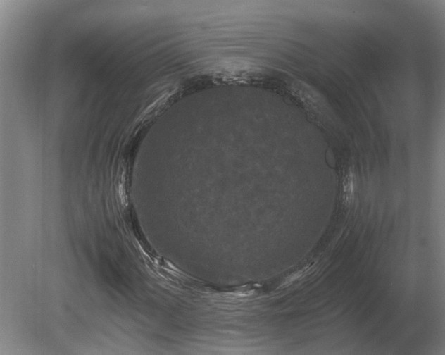 X0000080121060200612151707