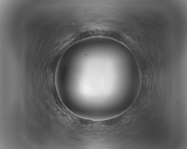 X0000080121061200612151707