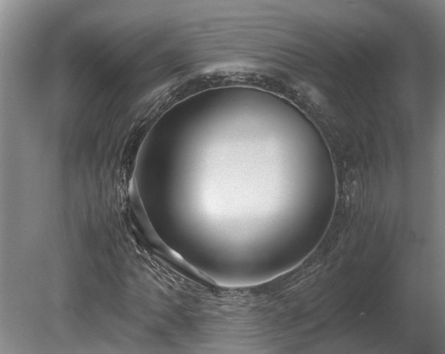 X0000080121062200612151707