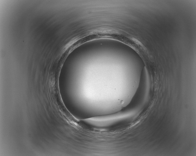X0000080121065200612151707
