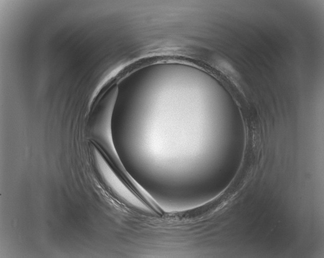 X0000080121069200612151706