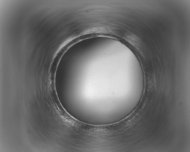 X0000080121070200612151706