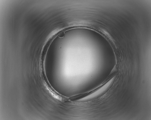 X0000080121072200612151706