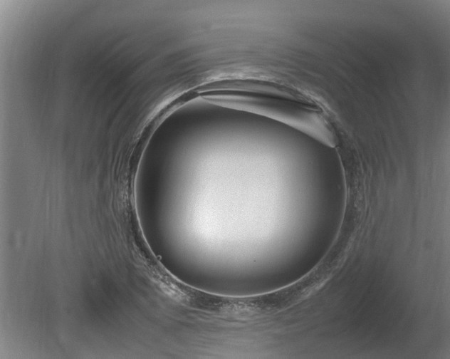 X0000080121073200612151706