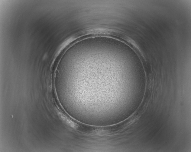 X0000080121075200612151706