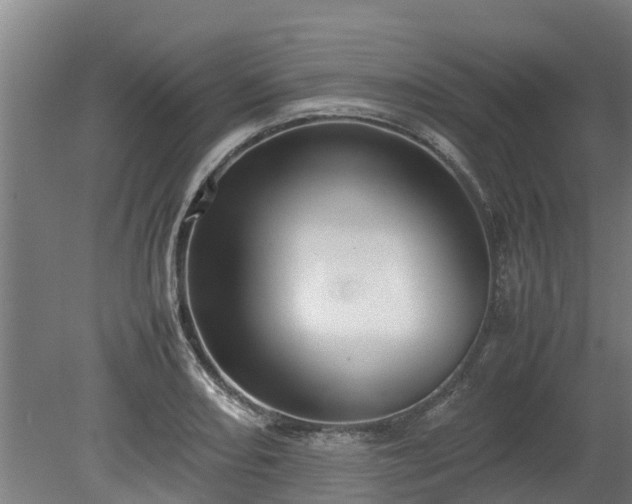 X0000080121082200612151706