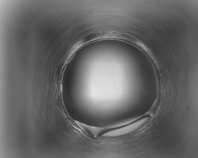 X0000080121097200612151706