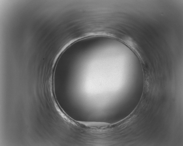 X0000080121100200612151706