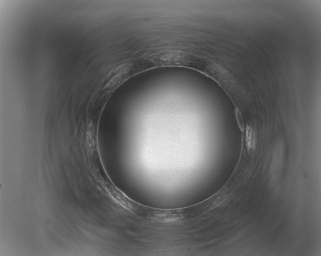 X0000080121107200612151705