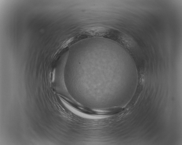 X0000080121108200612151705