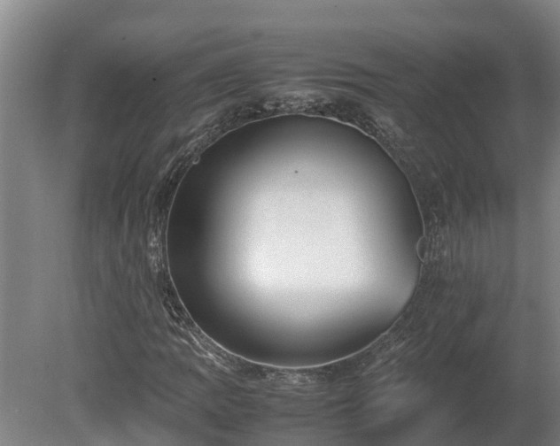 X0000080121109200612151705