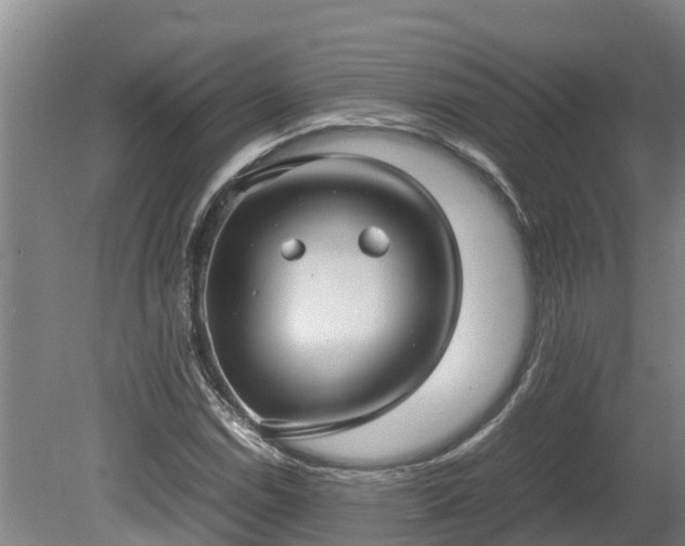 X0000080121114200612151705