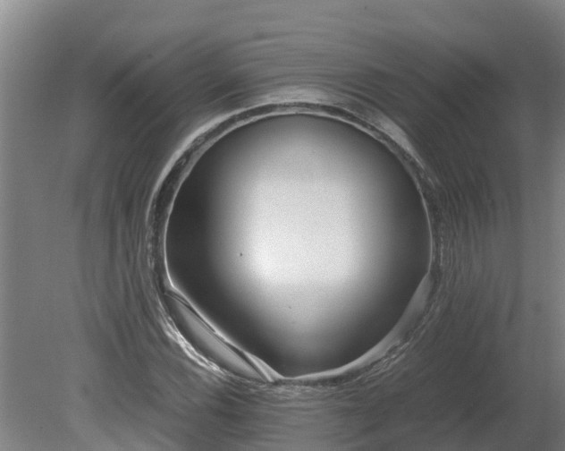X0000080121116200612151705
