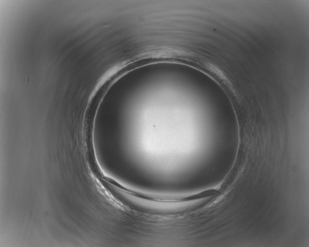 X0000080121122200612151705