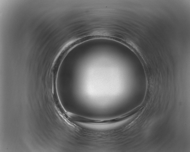 X0000080121123200612151705
