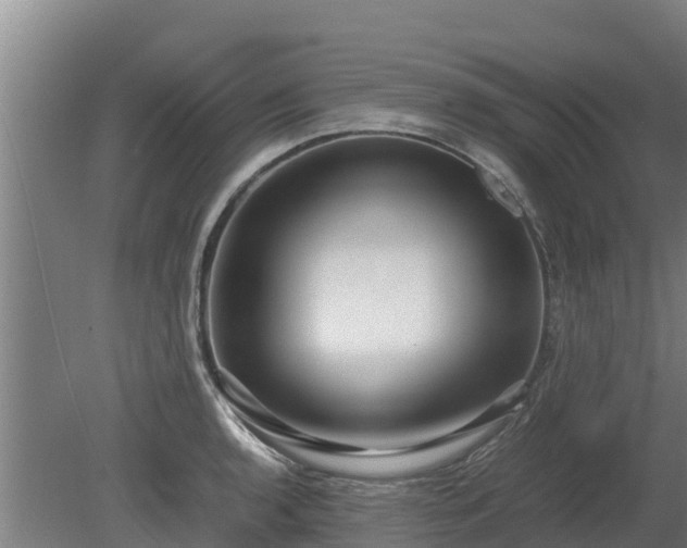 X0000080121136200612151706