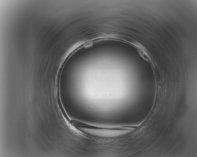 X0000080121143200612151706