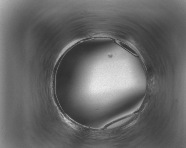 X0000080121149200612151706