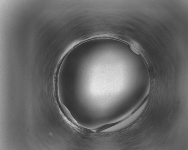 X0000080121151200612151706