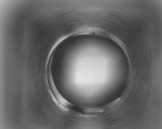 X0000080121152200612151706