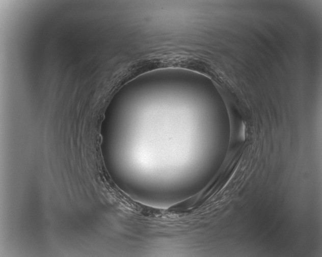 X0000080121153200612151705