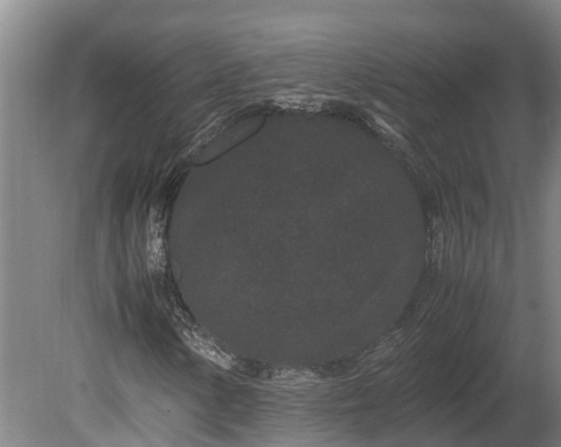 X0000080121154200612151705