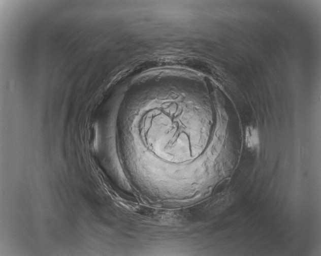 X0000080121155200612151705
