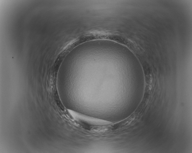 X0000080121157200612151705