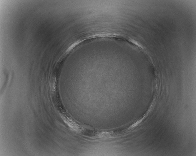X0000080121161200612151705