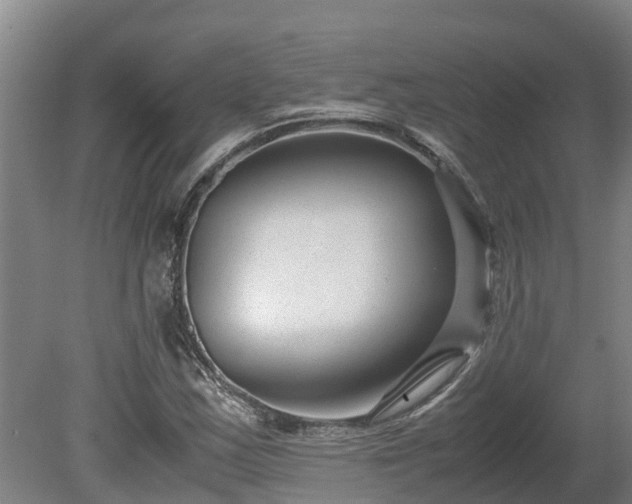 X0000080121163200612151705