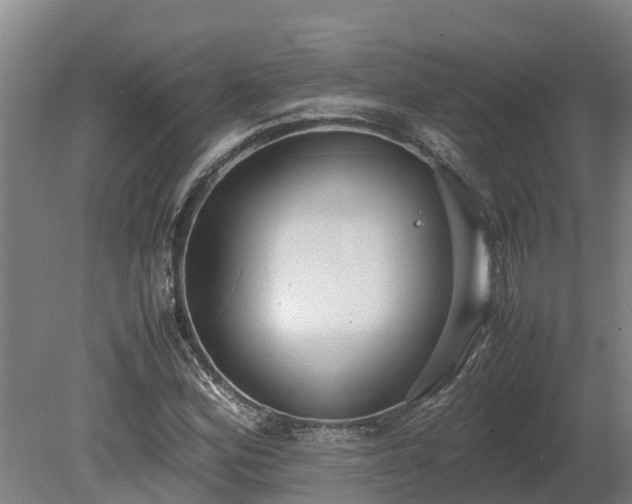 X0000080121164200612151705