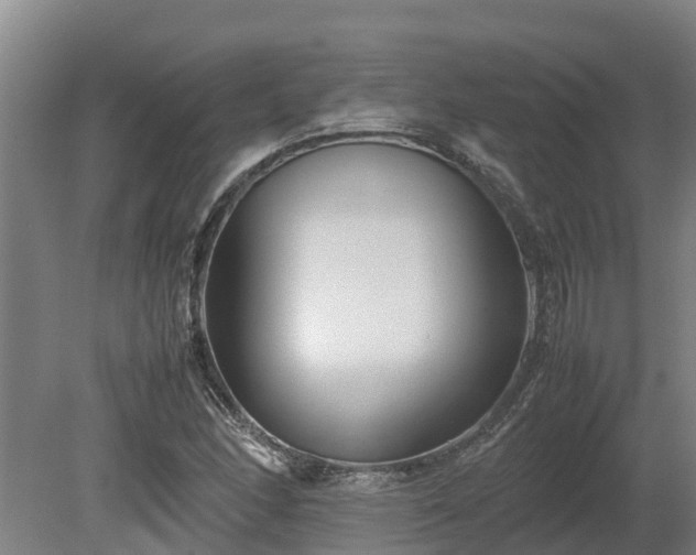 X0000080121166200612151705