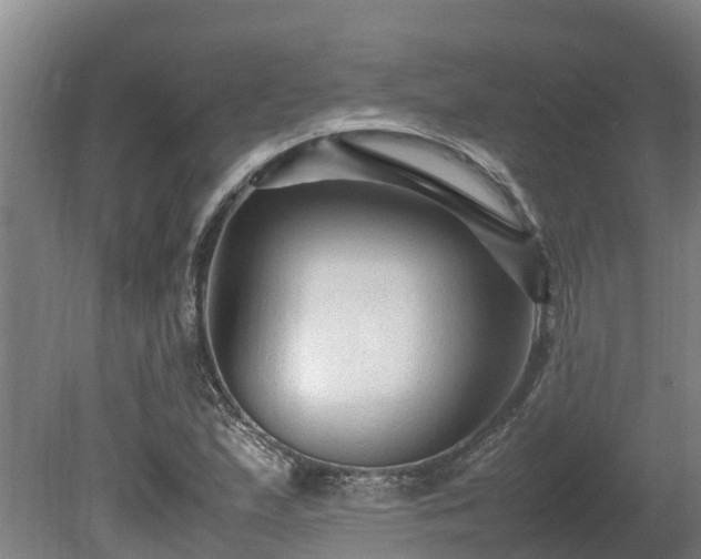 X0000080121167200612151705