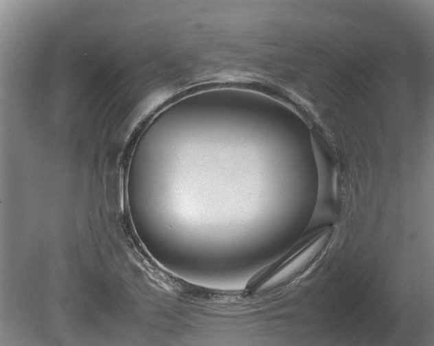 X0000080121171200612151705