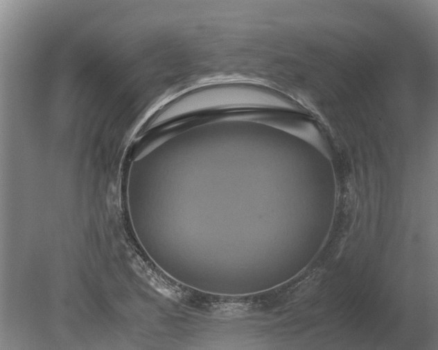 X0000080121173200612151705