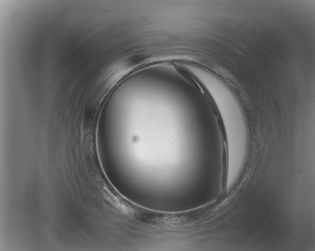 X0000080121177200612151705