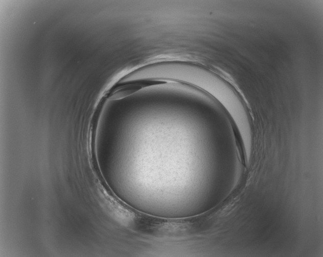 X0000080121179200612151705