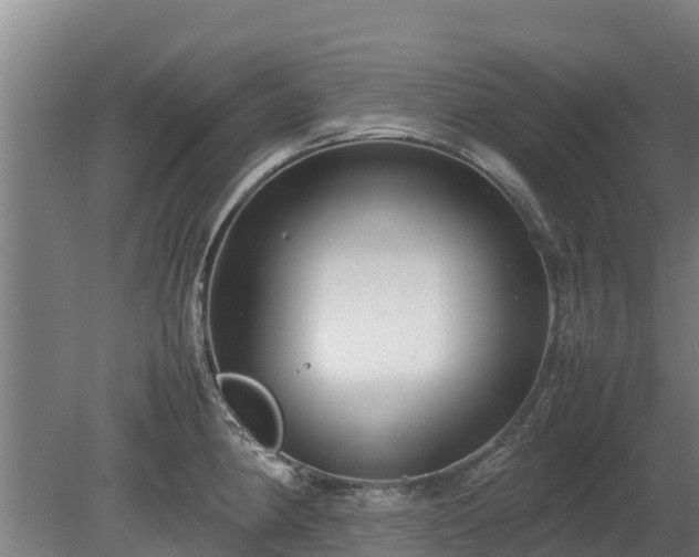X0000080121190200612151704