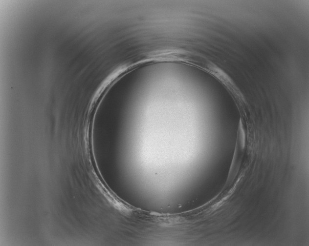 X0000080121196200612151704