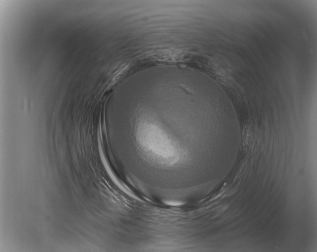 X0000080121202200612151703